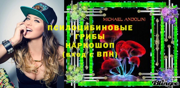 прущий лед Нея