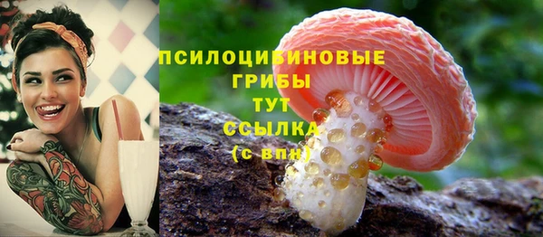 гидропоника Новодвинск