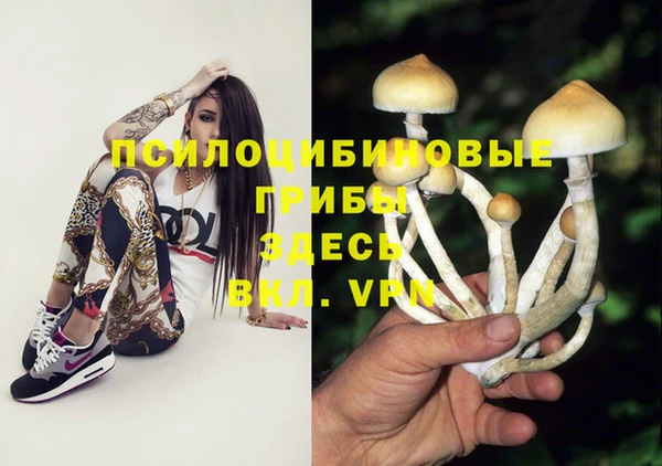 прущий лед Нея