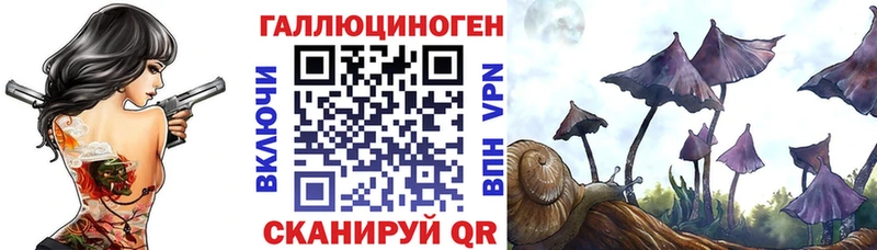 купить  сайты  Тетюши  Псилоцибиновые грибы мухоморы 